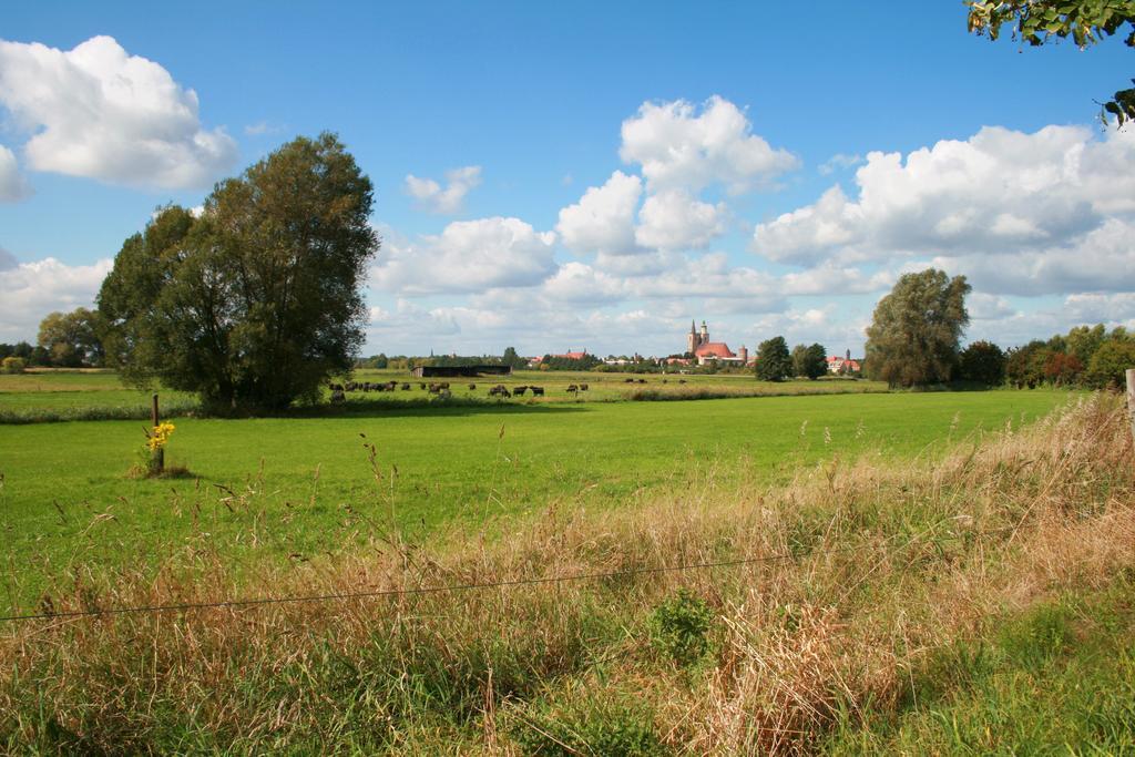 Landhaus Heinrichshof Juterbog Exterior photo